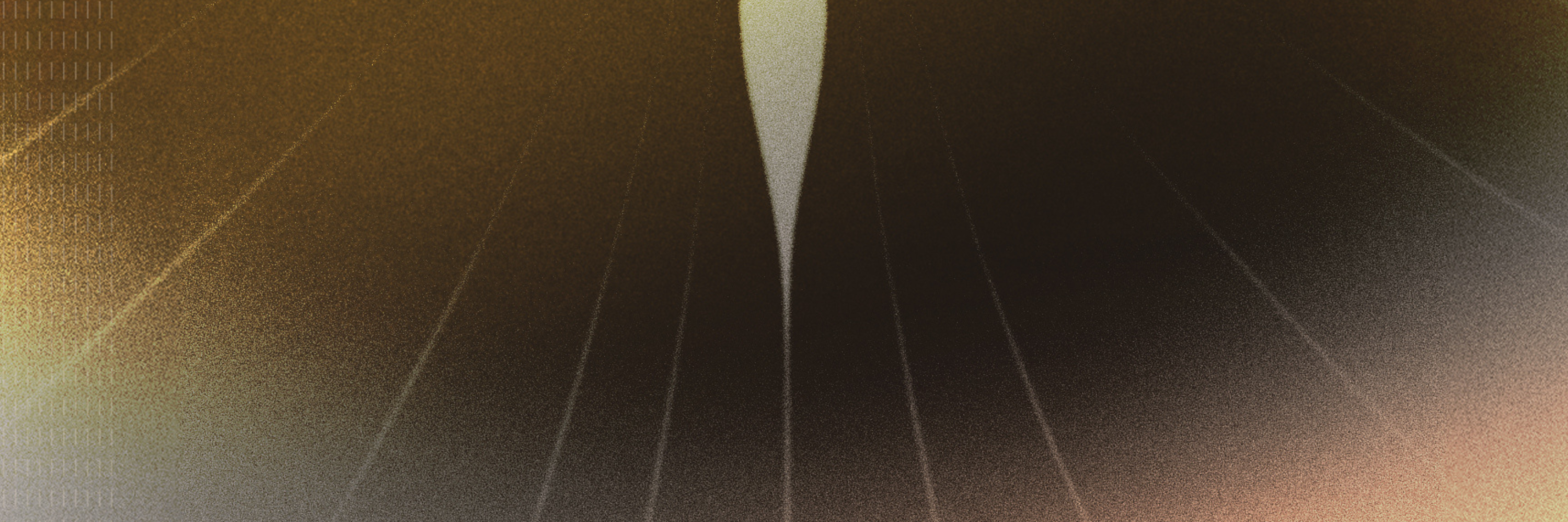 The Skin Longevity Edit