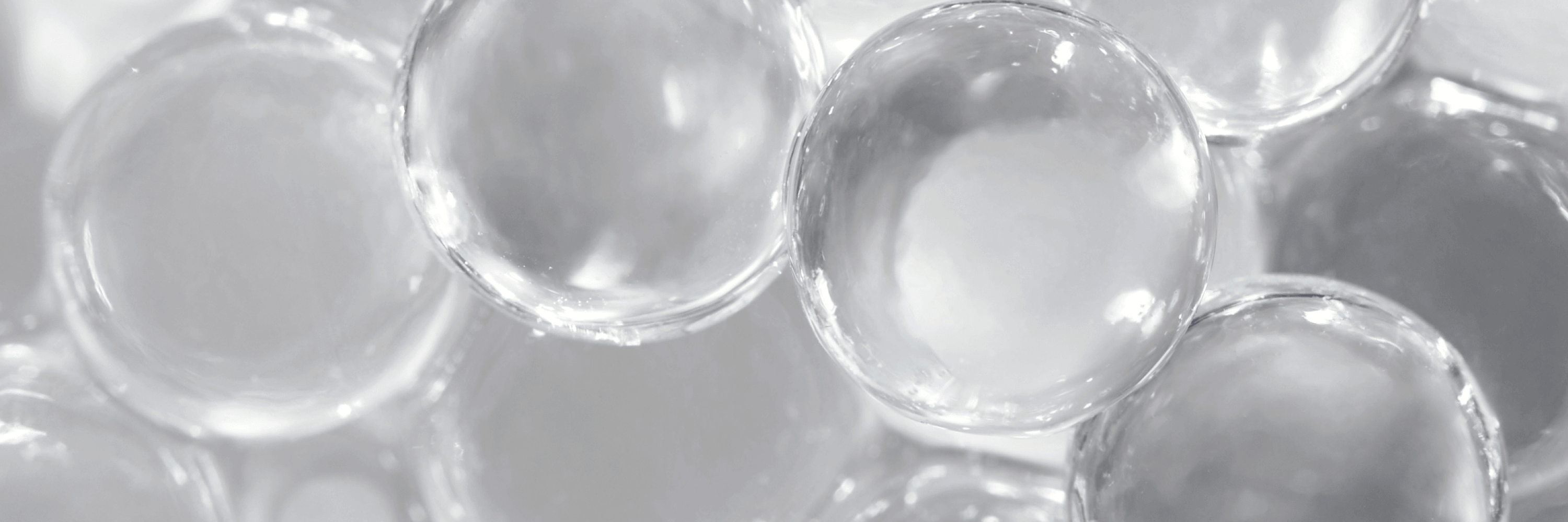 Stem Cells
